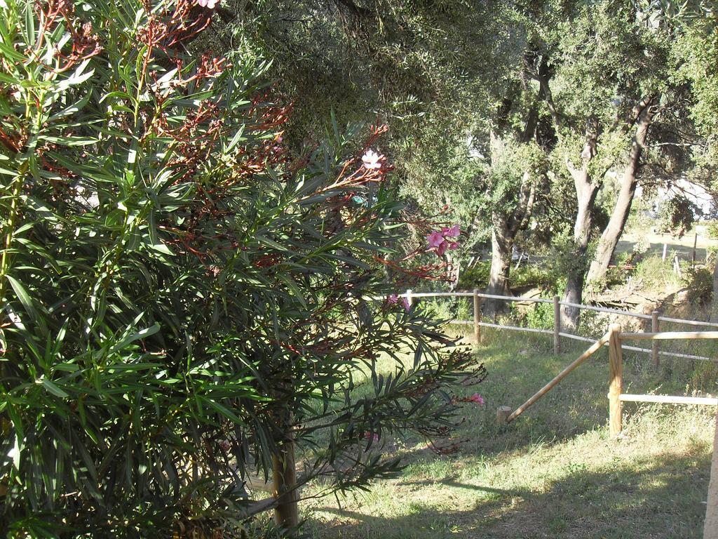Chambres Le Relais De Sisco Luaran gambar