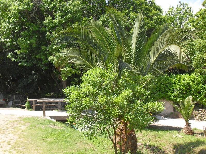 Chambres Le Relais De Sisco Bilik gambar